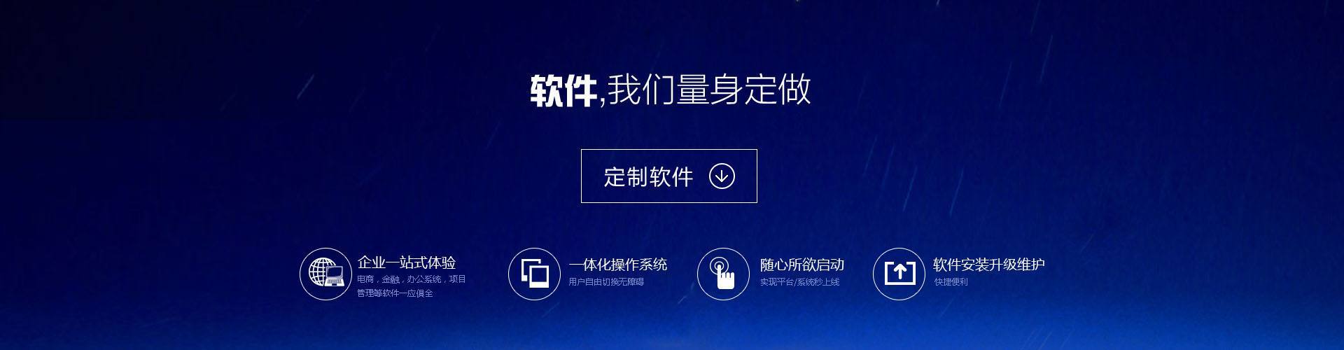 软件定造服务